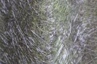 Carne fibreglass roof work