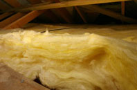 Carne pitch roof insulation