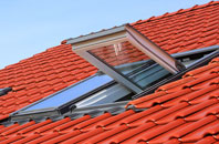 Carne roof window